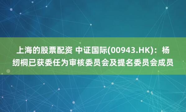 上海的股票配资 中证国际(00943.HK)：杨纫桐已获委任为审核委员会及提名委员会成员
